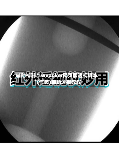 辅助神器“ wepoker网页版透视脚本	”(作弊)辅助透视教程-第1张图片