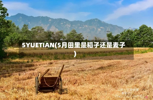 5YUETIAN(5月田里是稻子还是麦子)-第3张图片