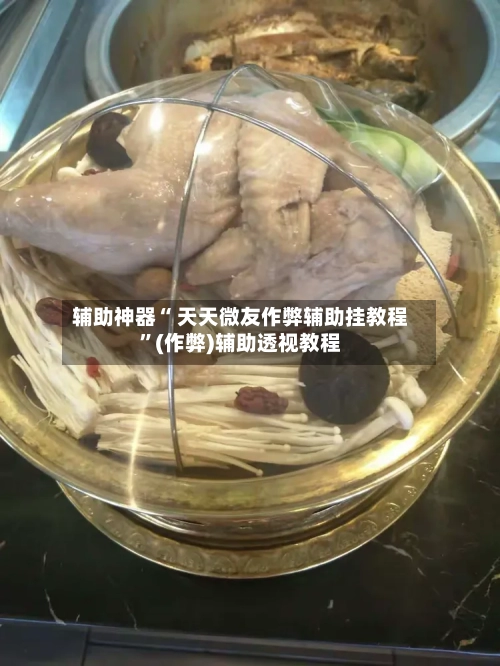辅助神器“ 天天微友作弊辅助挂教程”(作弊)辅助透视教程-第2张图片