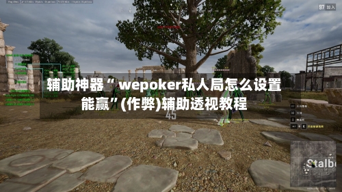 辅助神器“ wepoker私人局怎么设置能赢	”(作弊)辅助透视教程-第3张图片