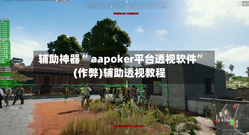 辅助神器“ aapoker平台透视软件”(作弊)辅助透视教程-第1张图片
