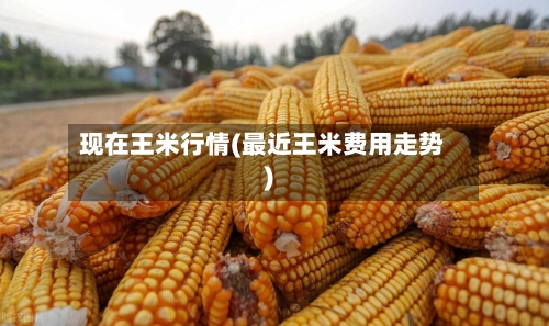 现在王米行情(最近王米费用走势)-第2张图片