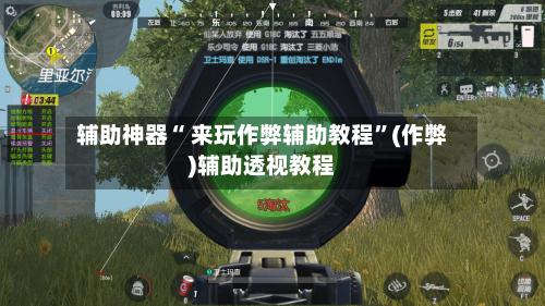 辅助神器“ 来玩作弊辅助教程”(作弊)辅助透视教程-第3张图片